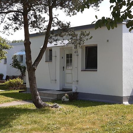 Ferienhaeuschen Kuestenwald Bei Warnemuende, Eigener Garten, Terrasse Mit Strandkorb, 400M Zum Strand 디에트리히사겐 외부 사진