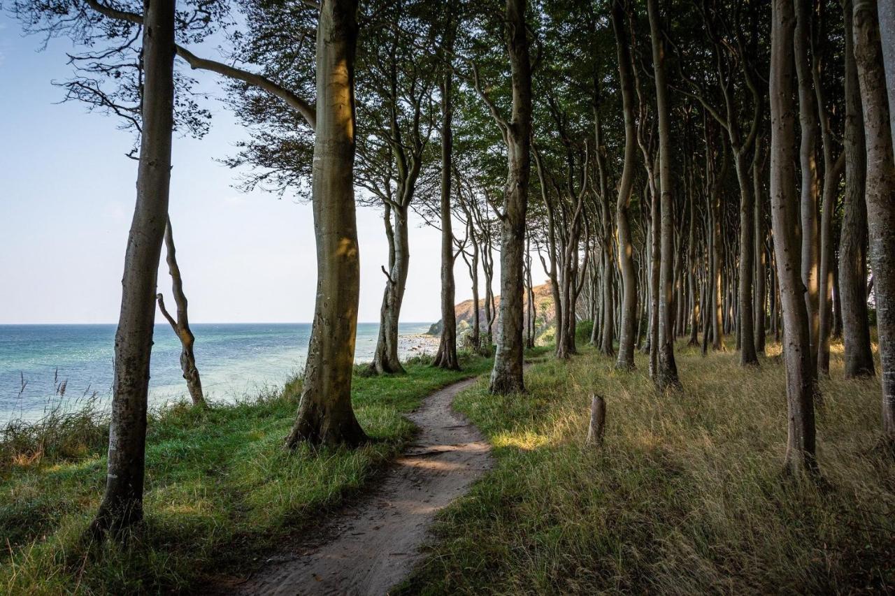 Ferienhaeuschen Kuestenwald Bei Warnemuende, Eigener Garten, Terrasse Mit Strandkorb, 400M Zum Strand 디에트리히사겐 외부 사진